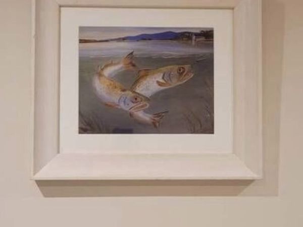 Trout framed picture - Main image