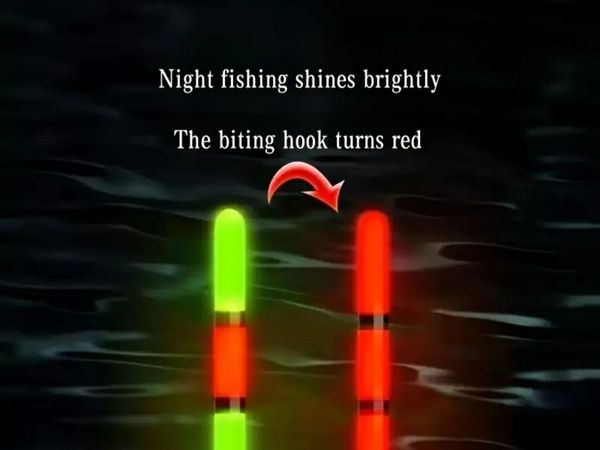 fishing - Main image