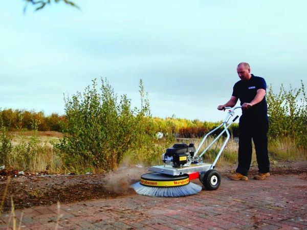 Westermann WR870 Moss Brush - Main image