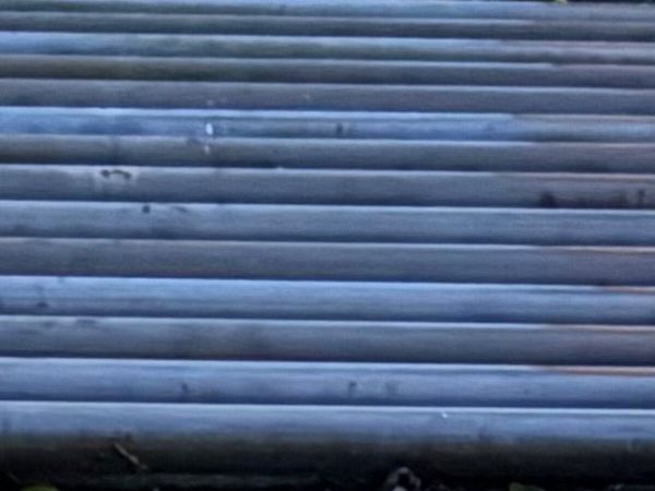 Cattle grid - Main image