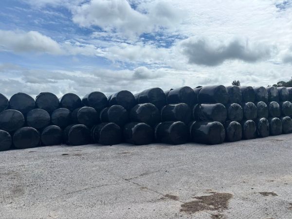 Silage bales - Main image