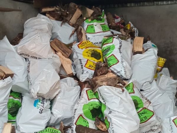 Bags of firewood - Main image