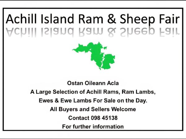 Achill Island Sheep & Ram Fair day - Main image