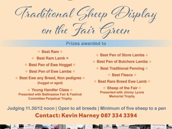 Ballinasloe Sheep Fair - Main image
