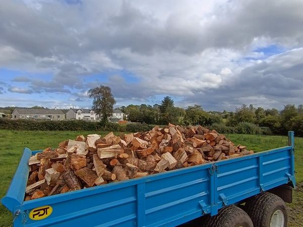 QUALITY SEASONED FIREWOOD FOR SALE - Main image