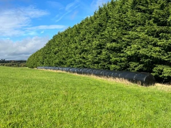 44 silage bales north county Dublin €30 - Main image