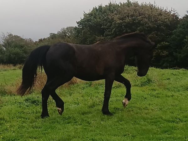 2 year olds - Main image