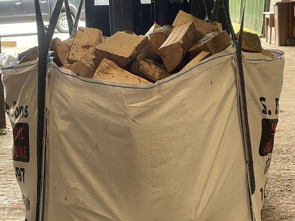 Ash hardwood firewood - Main image