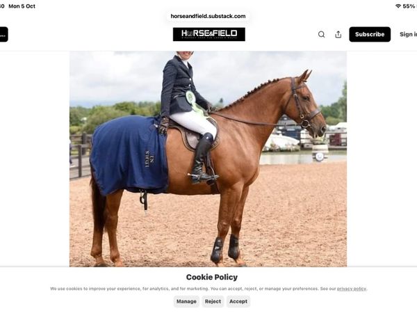 Wanted horse 15:2 - Main image
