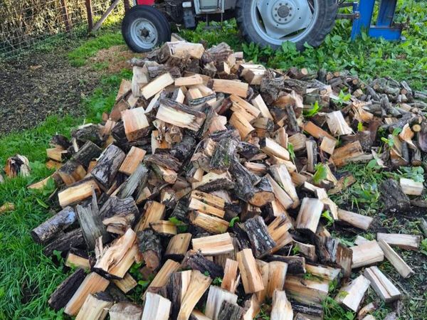 Firewood - Main image