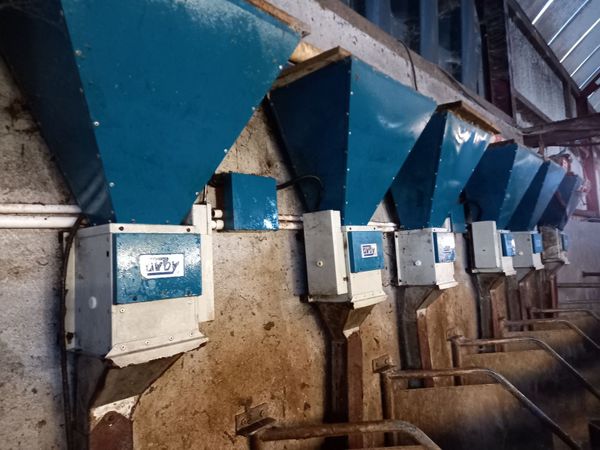 Milking parlour feeders - Main image
