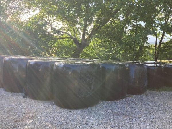 Silage and Hay - Main image