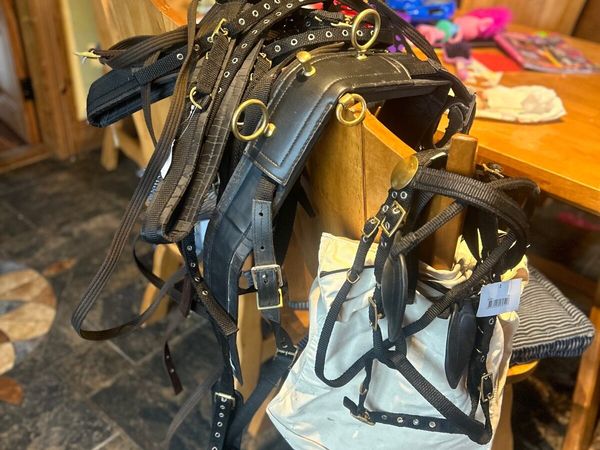 Webbing Shetland harness - Main image