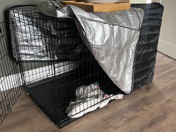 Dog crate XL - Main image