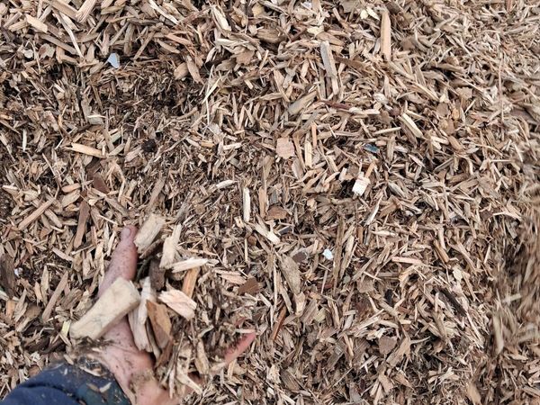 Woodchip - Main image