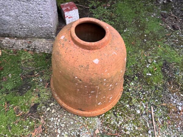 Vintage Victorian Terracotta Rhubarb Forcer - Main image