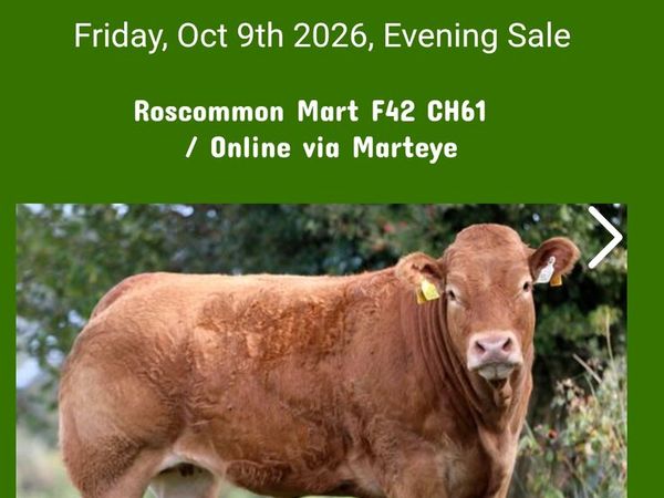 Production/Reduction Sale - Main image