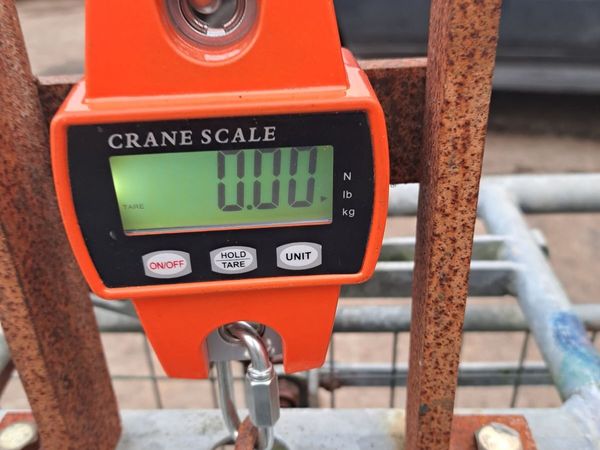 Sheep equipment. Race scales gates. - Main image