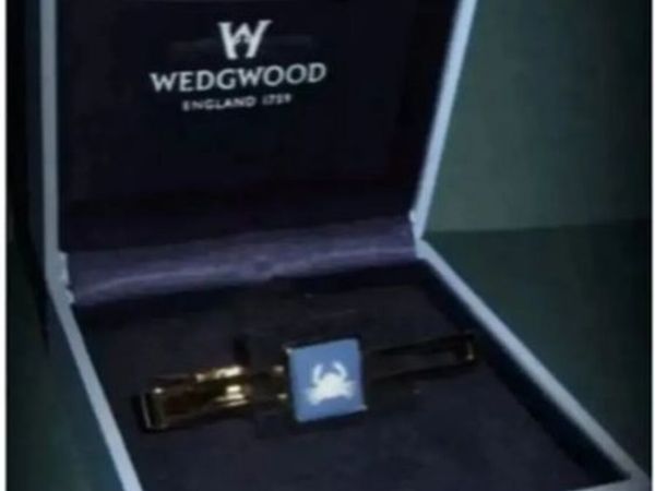Vintage Authentic Wedgewood Gold Trimmed Tie Pin's - Main image