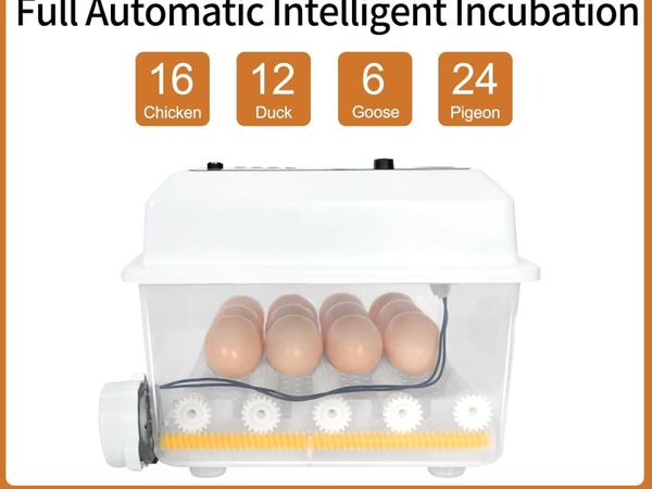 Automatic Egg Incubator 16 Egg Hatching Machine - Main image