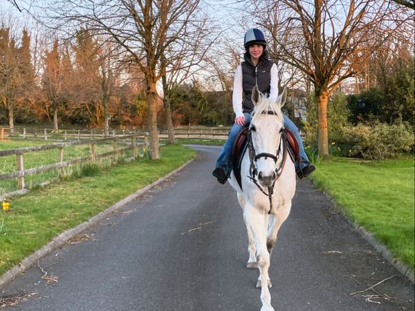Tb mare for lease - Main image