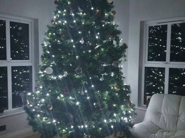 ARTIFICAL Christmas Tree 10fr - Main image