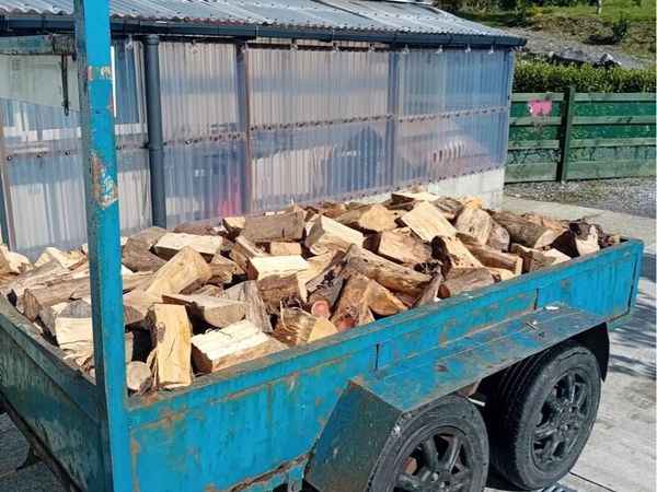 Firewood - Main image