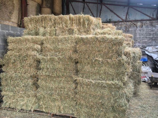 Small square bales of hay and straw - Main image