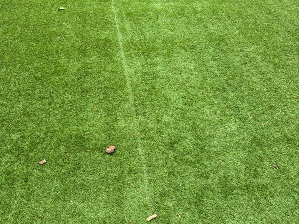 Artificial Grass - Main image