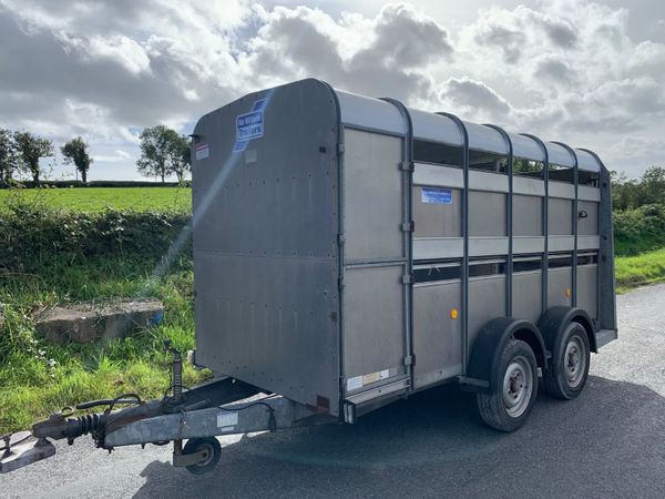 Ifor Williams TA5-12 (12x5) Trailer - Serviced - Main image