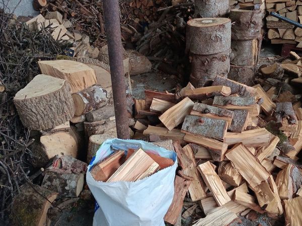 Bags of firewood well seasoned (2 years) - Main image