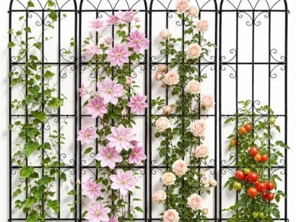 Garden Trellis for Climbing Plants, 87 x 20 in, 4 - Main image