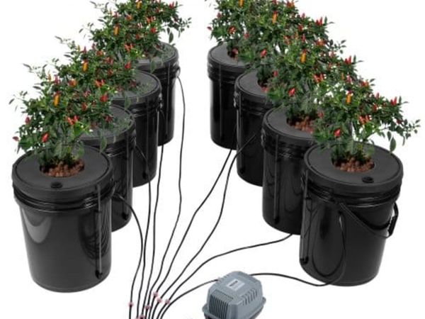 DWC Hydroponics Grow System, Hydroponic Growing Sy - Main image