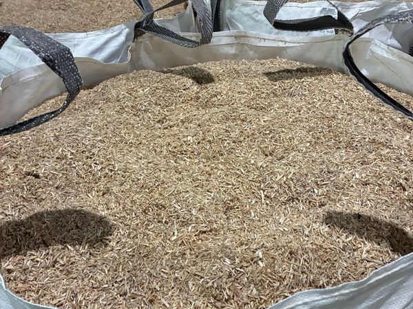 Dust free wood chip bedding. - Main image