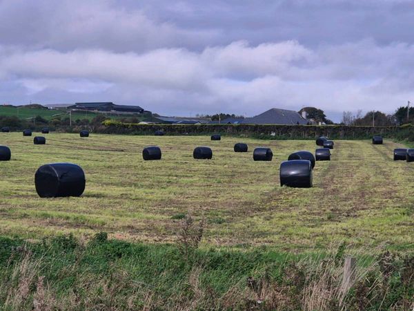 Silage - Main image