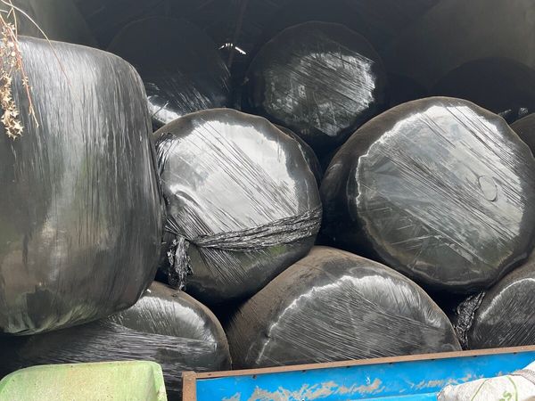 Round bales of silage - Main image