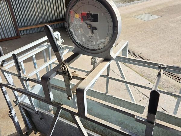 Bateman Mechanical Lamb Weigher inc Clock 800-50 - Main image