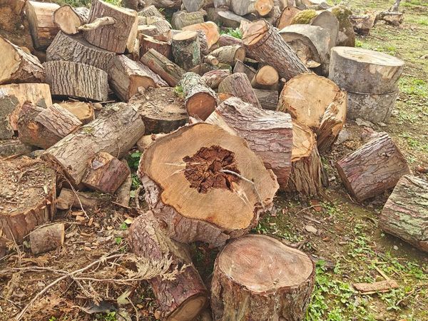 Free - Tipper load of timber - Main image