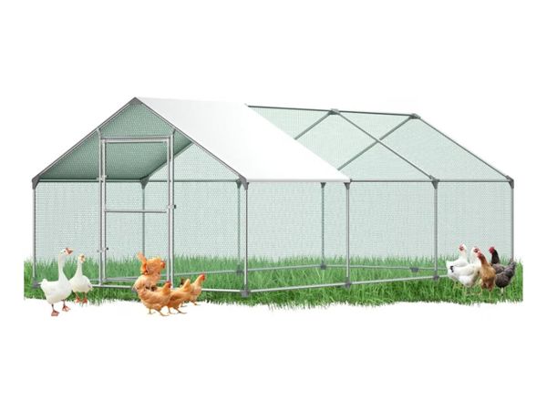 Chicken run - Main image