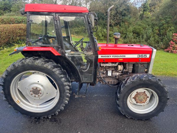 Massey Ferguson 365 - Main image