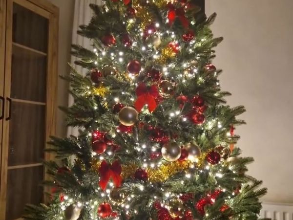 Christmas tree - Main image