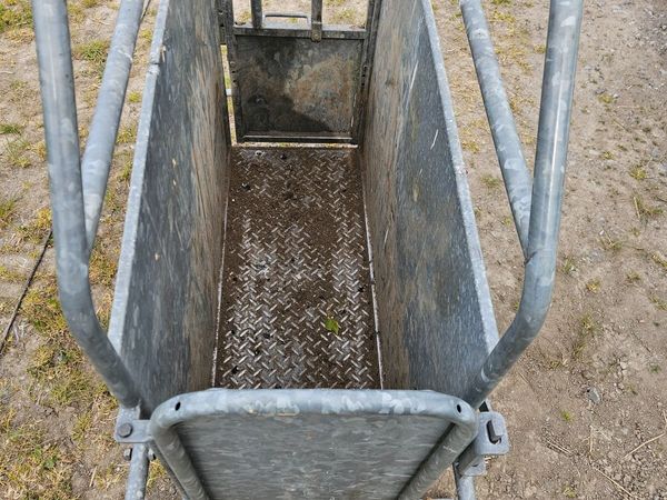 Calf De-horning crate - Main image