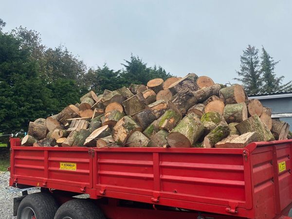 Firewood - Main image