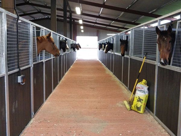 Stable yard - Main image