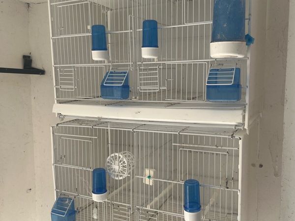 Bird cages - Main image