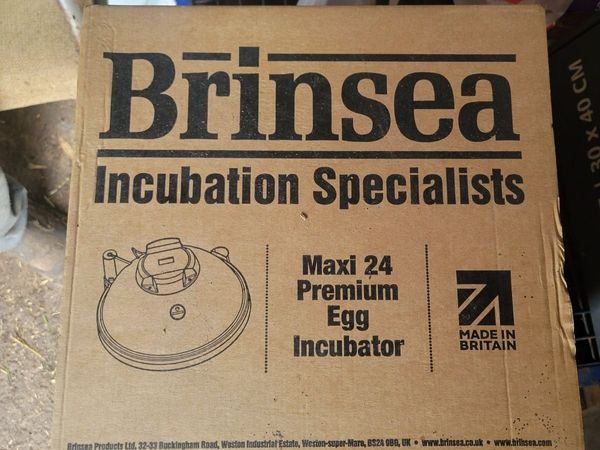 Incubator - Main image