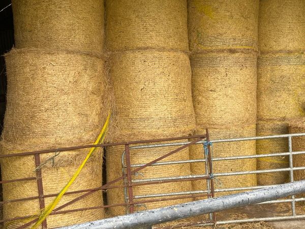 Hay for sale - Main image