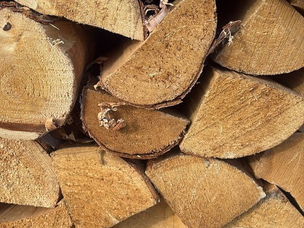 Kiln dried wood - Main image
