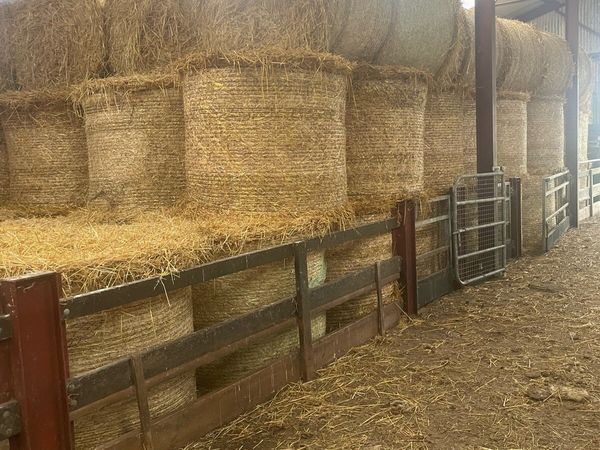 Straw - Main image