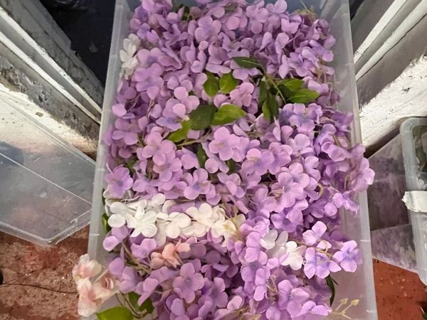 Wisteria & Foliage Backdrops Lot - Main image